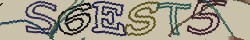 Voer de CAPTCHA code in zoals getoond.